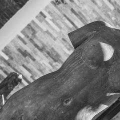 Idée aménagement ext 06