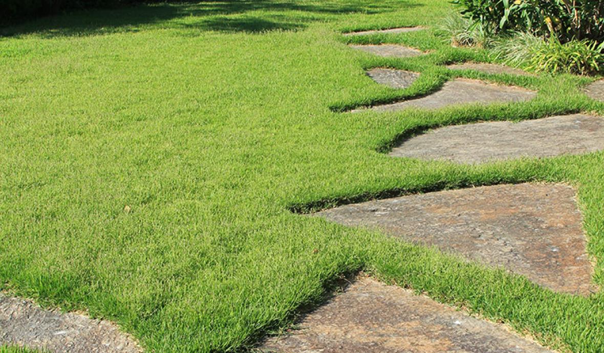 Pavé, dallage terrasse quel revêtement choisir ? bonifay.fr