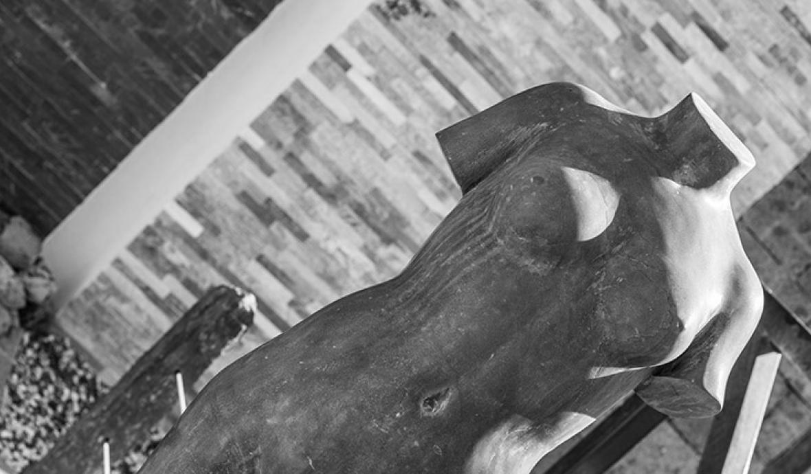 Aménager son jardin à Toulon Var, décorer ses allées bonifay.fr