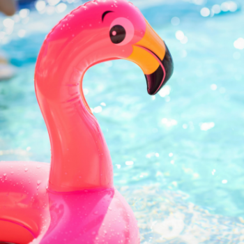 instructions remise en route piscine