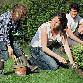 outil Jardinage et arrosage VIGNETTE